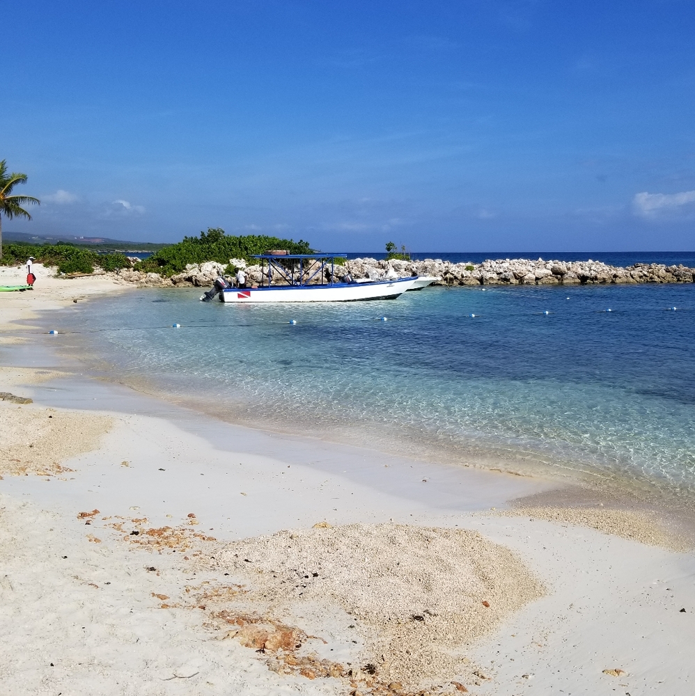 Meet your Posher, Shatequa